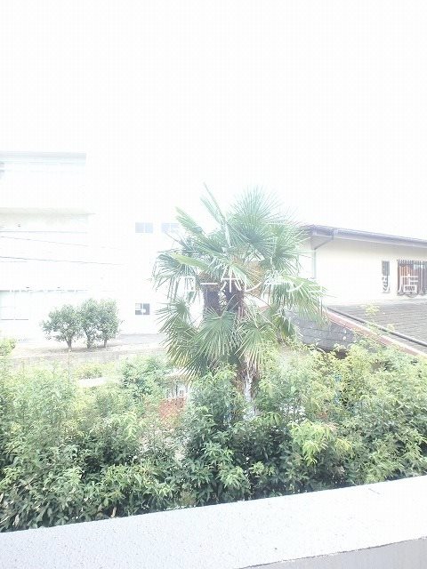 眺望 サンフォレスト泉 その他5