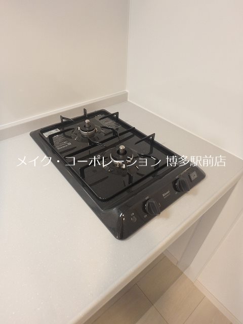 リアンプレミアムレジデンス平和 その他12