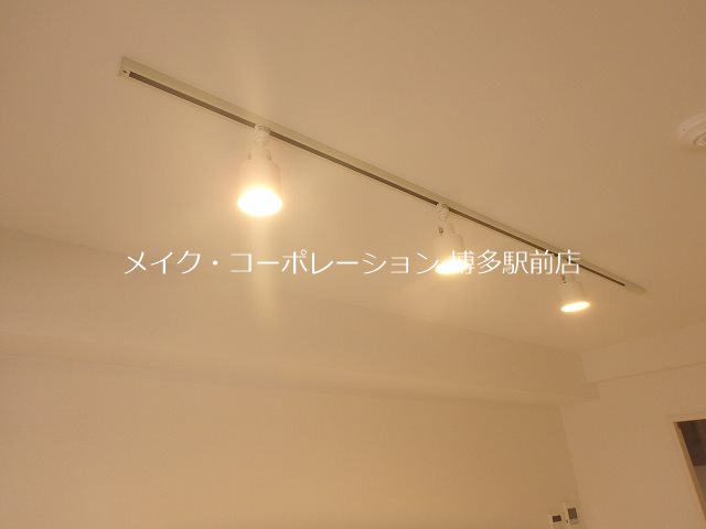 リアンプレミアムレジデンス平和 その他14