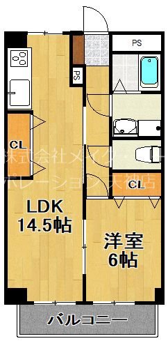 シャンボール赤坂 1006号室 間取り