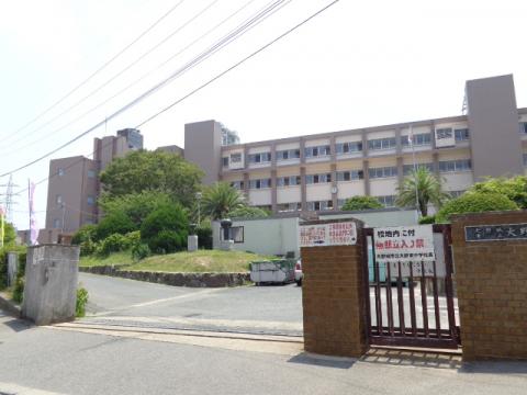Patio Park 周辺画像10