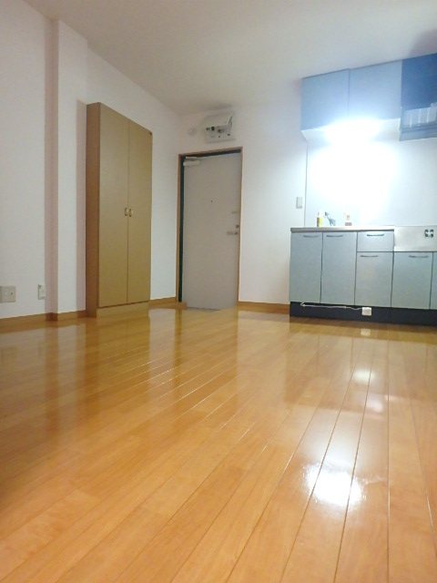アイディール薬院 リビング