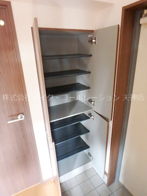 DSタワー平尾駅前レジデンス 玄関