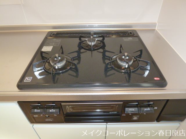 写真は同型タイプ エル白水池 その他11