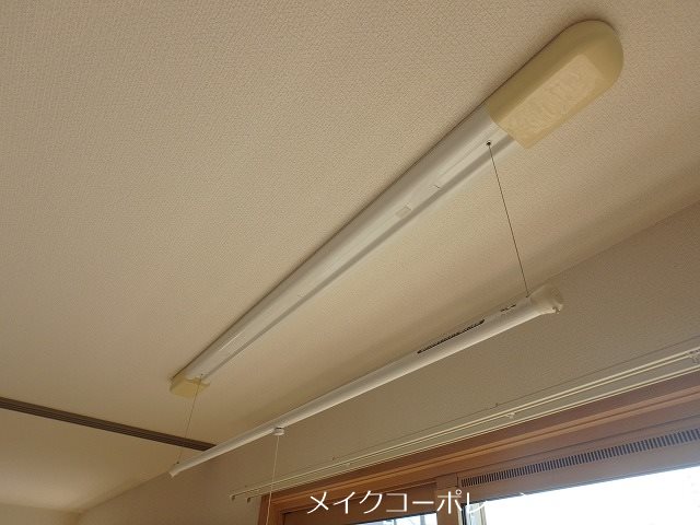 エルブ・ソヴァージュ その他6