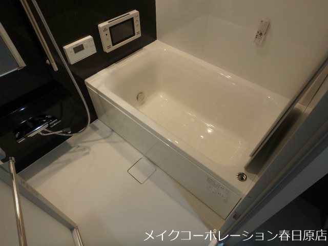 写真は同型タイプ Palais Felicia その他23