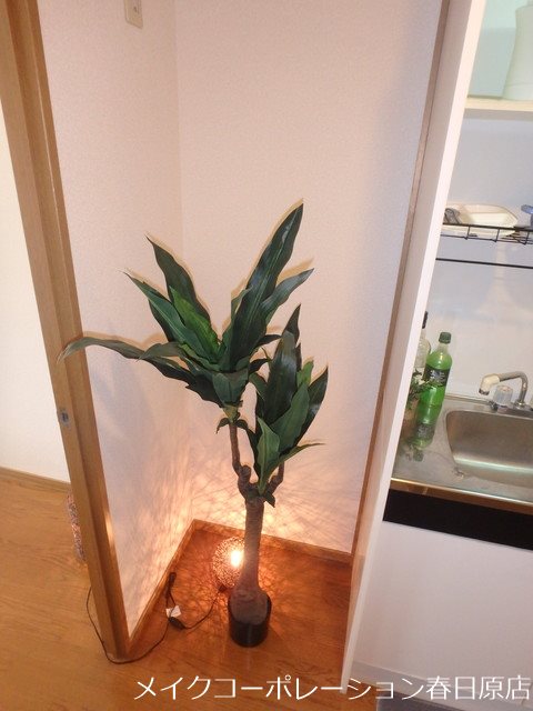 写真は同型タイプ エース弐番館 その他1