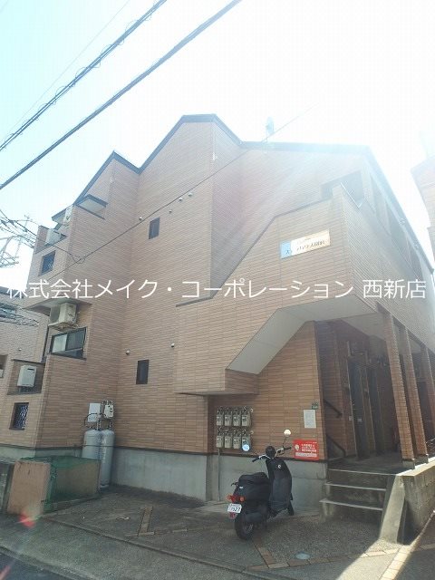 ステラハウス別府 その他外観4