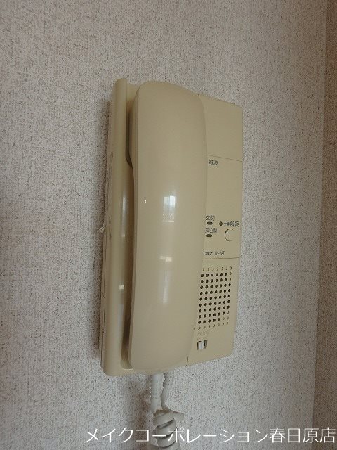 アムフルッス その他5