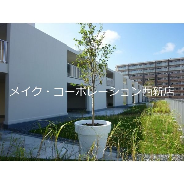 ラクレイス西新レジデンシャルタワー その他12