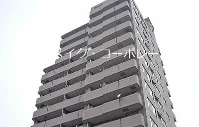 ダイアパレスグランデージ大名 外観