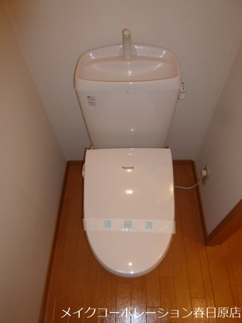 ステラコート その他2