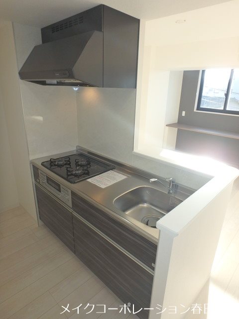 写真は同型タイプ EREINA キッチン