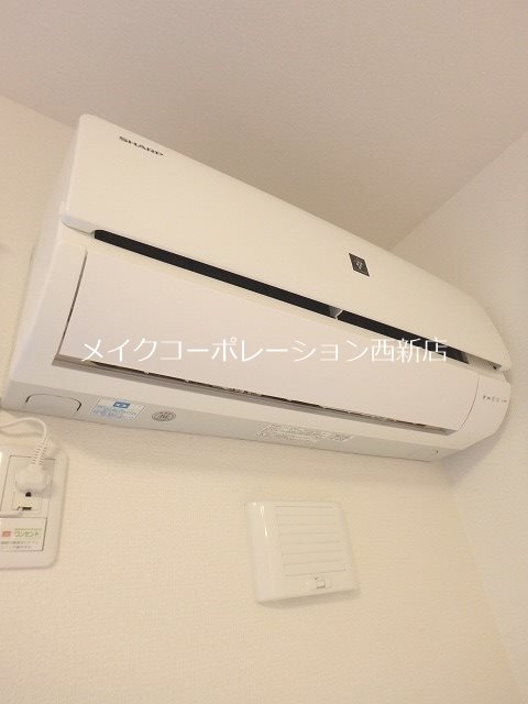 Rosetta その他3