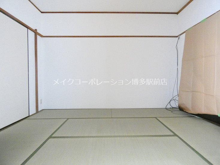 ドルフ7 その他4