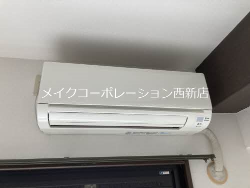 ダブルーンⅤ その他5