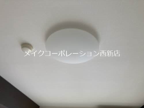 ダブルーンⅤ その他8