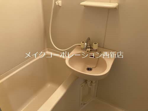 ダブルーンⅤ 風呂画像