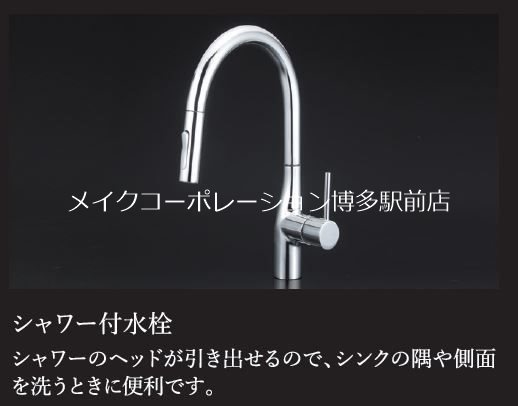 ニューガイアクレドール博多 その他8