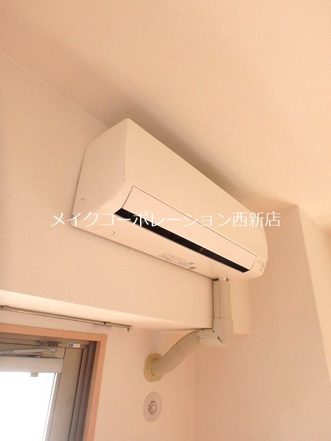 セイスピノス その他13