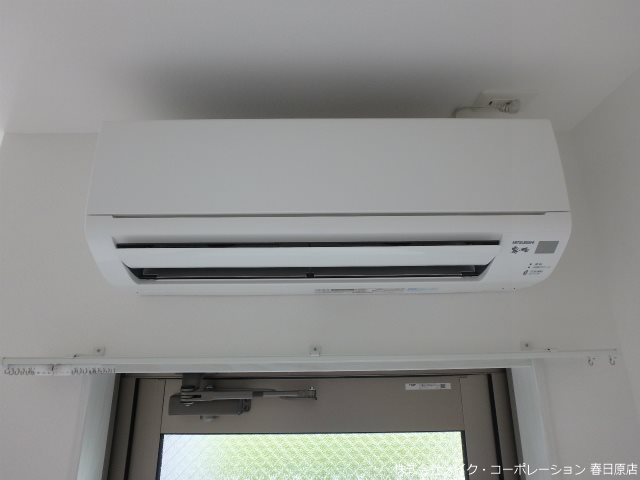 Chloranthus光丘 その他9