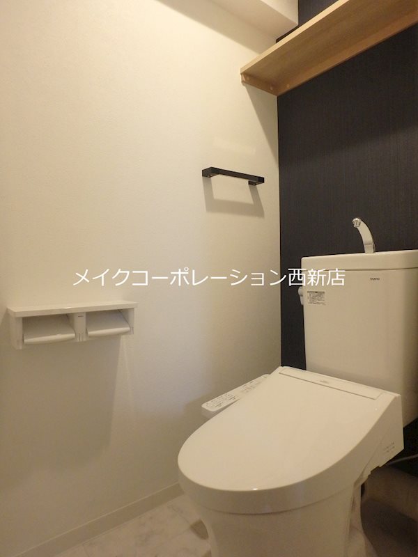 SOコスモス その他4