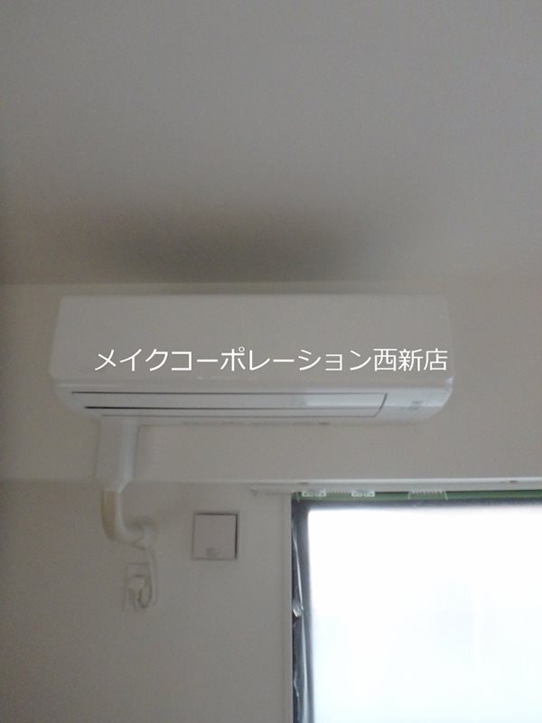 SOコスモス その他5