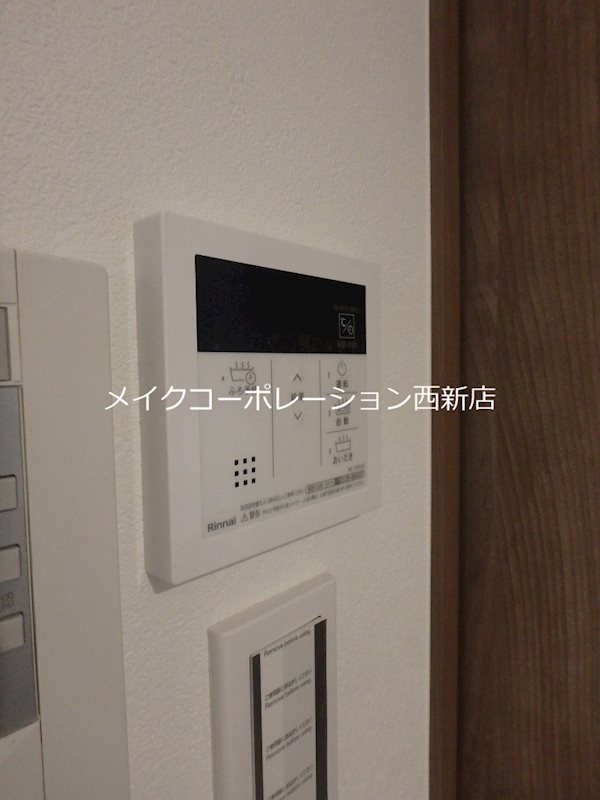 SOコスモス その他14