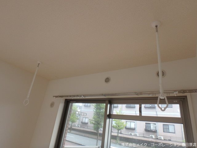 プルヌス コリーヌ その他18