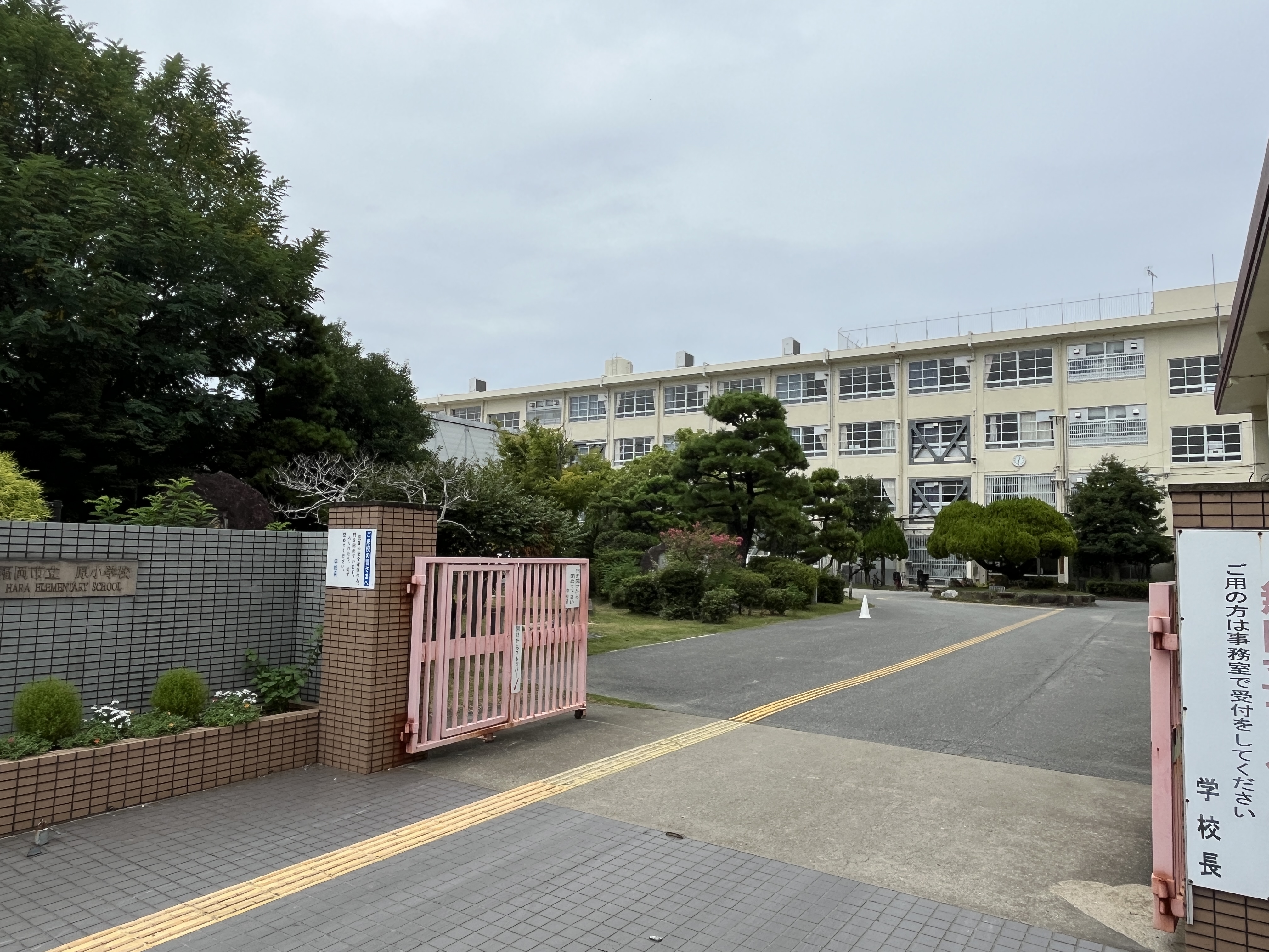 シャルム荒江 小学校