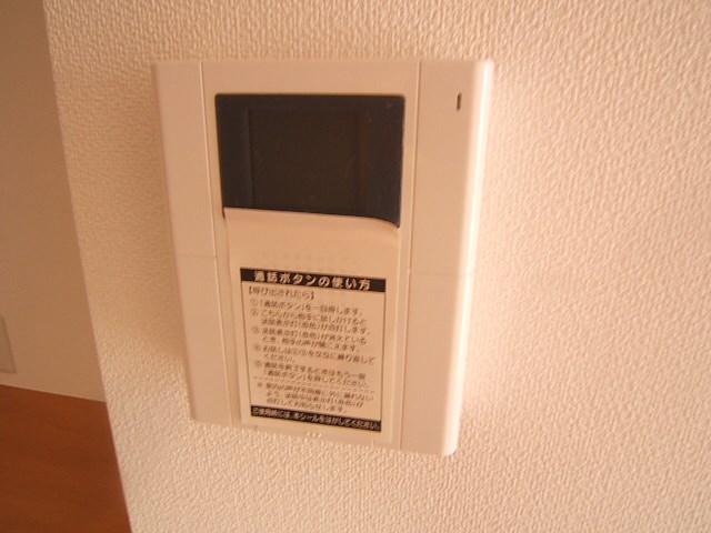 写真は同型タイプ カラコレスⅢ その他5