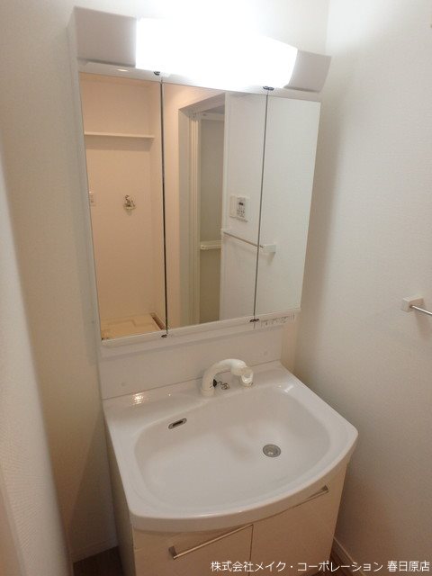 プルヌス コリーヌ その他3