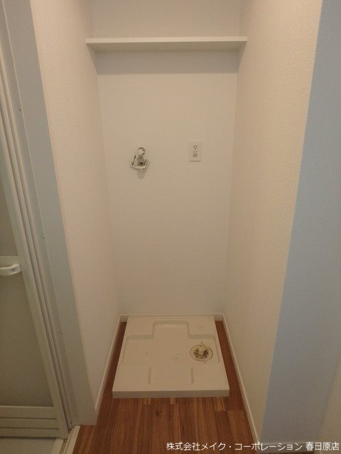 プルヌス コリーヌ その他13