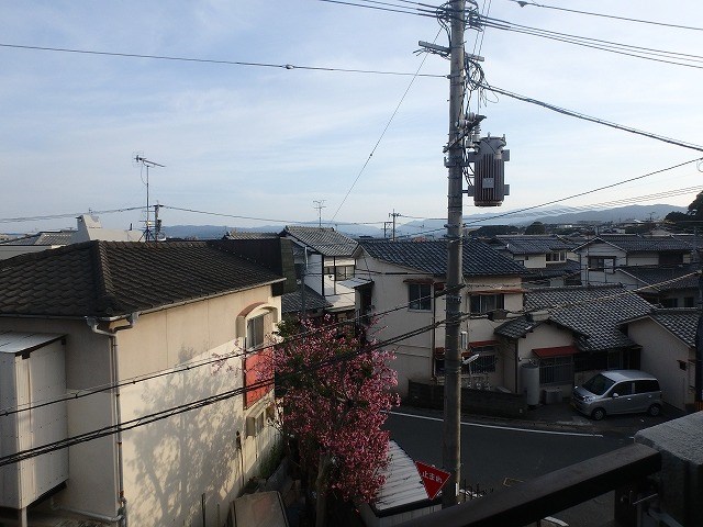 モナーク大橋 眺望
