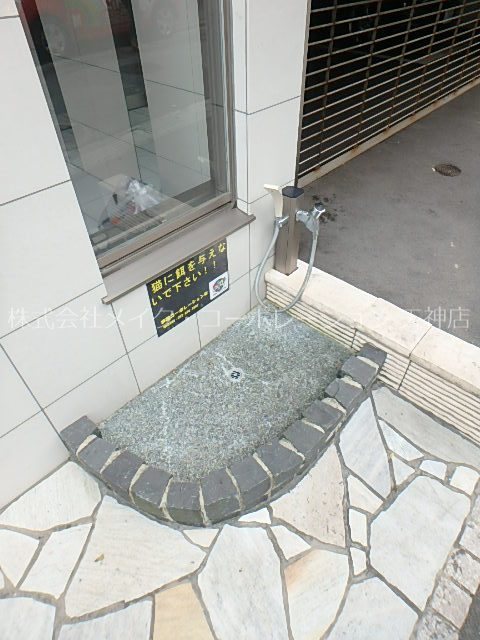 NOZt その他6