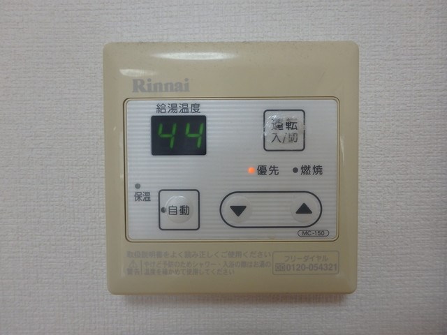 写真は同型タイプ カラコレスⅢ その他1