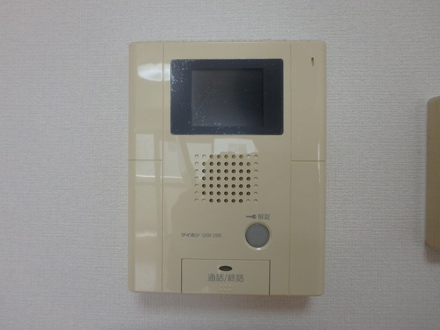 写真は同型タイプ カラコレスⅢ その他5