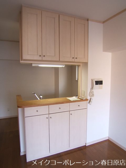 写真は同型タイプ ホープSパレス その他1