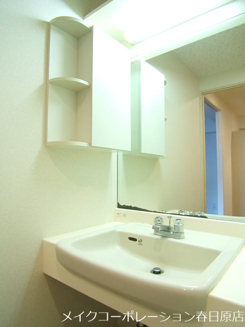 写真は同型タイプ ホープSパレス その他3