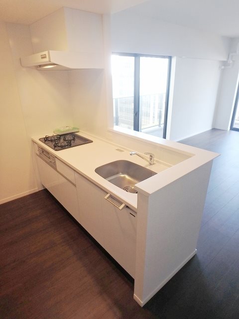 RJRプレシア天神サウス キッチン