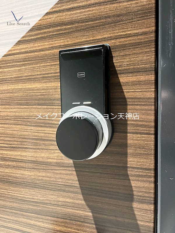 シャーメゾン赤坂けやき通り その他30
