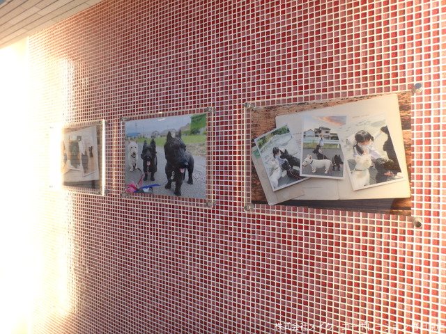 他共有部分 ノア吉塚 その他21