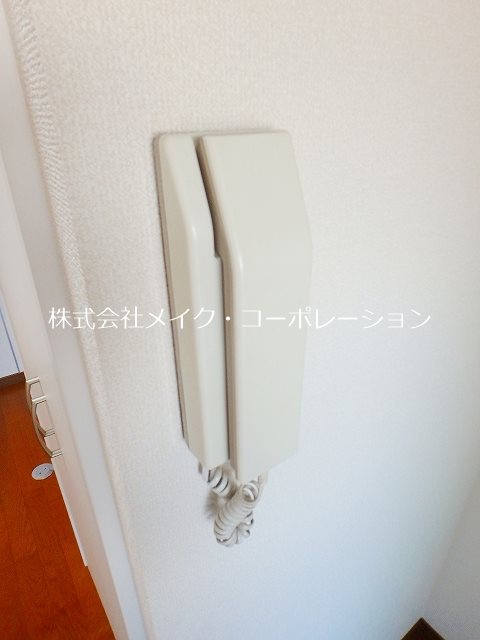 シャトレ河口 その他12