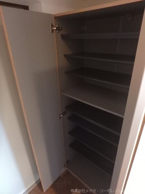 写真は同型タイプ カラコレスⅤ その他8