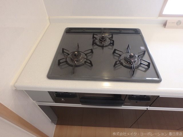 写真は同型タイプ カラコレスⅤ その他13