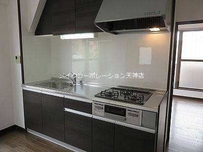 ダイナコート大濠公園Ⅱ キッチン