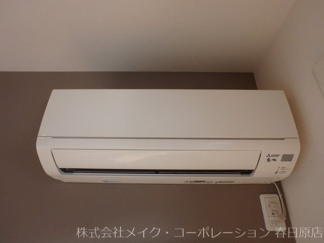 seed その他17