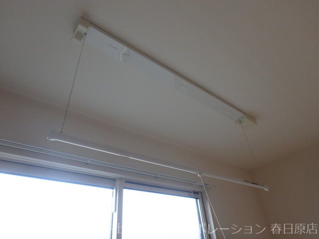 seed その他22