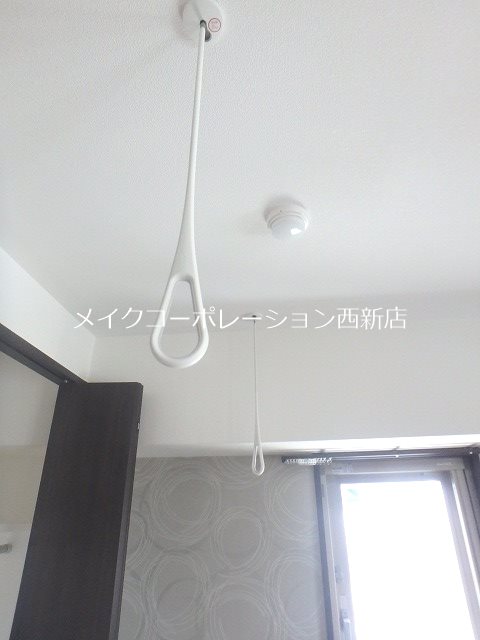 D.CoRTILE その他17