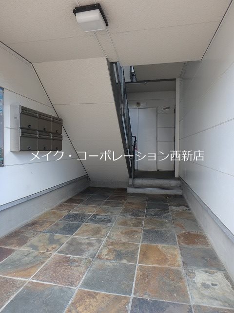 PalazzoWish その他18